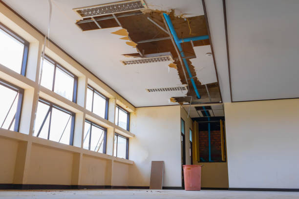 Best Residential water damage restoration  in Swanton, OH