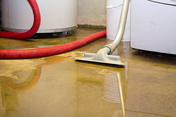 Water damage restoration process