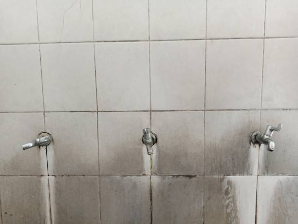 Best Water damage cleanup near me  in Swanton, OH