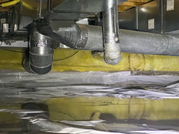 Best Flood restoration services  in Swanton, OH
