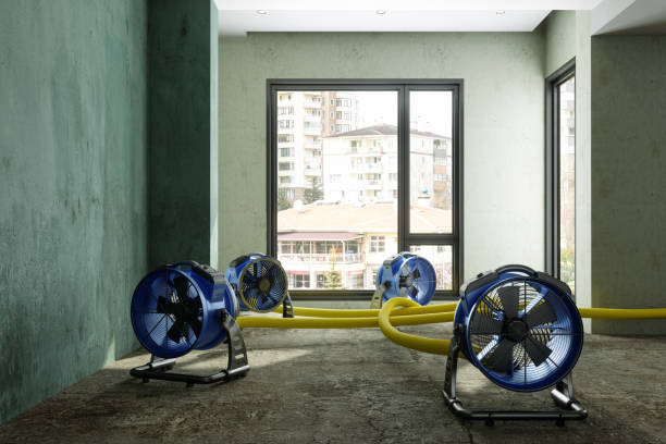 Best Fire Damage Restoration  in Swanton, OH
