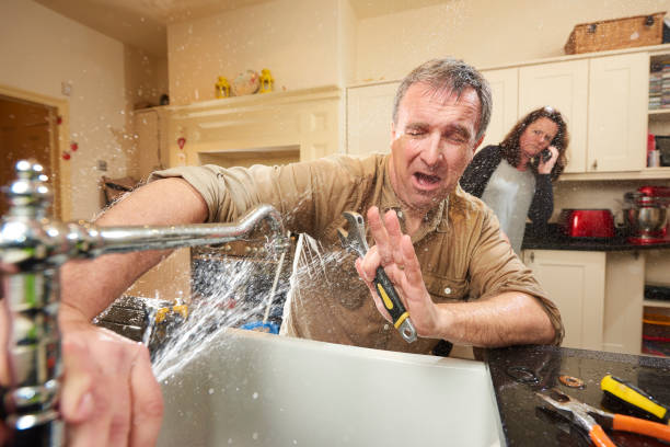Best Water damage contractors near me  in Swanton, OH